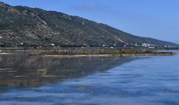 Au nom des travailleurs de la mer