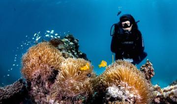 Un professeur de l'université KAUST récompensé pour ses efforts de restauration des coraux