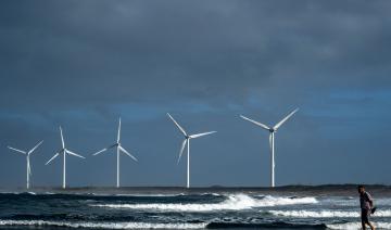 Le Japon veut faire des énergies renouvelables sa première source d'énergie d'ici 2040