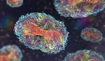 Mpox : un premier cas du nouveau variant identifié en France