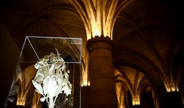 Avant le Sommet sur l'IA à Paris, un "week-end culturel" de débats