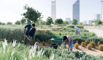 L'Arabie Saoudite célèbre deux ans d'engagement vert : un bilan prometteur