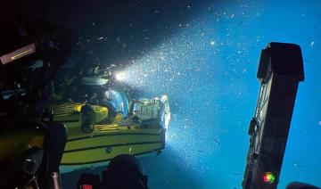 Découverte d'un écosystème inhabituel dans les récifs coralliens de la mer Rouge : étude KAUST-NCW