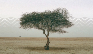 L'Arabie saoudite célèbre la Journée mondiale de lutte contre la désertification et la sécheresse des Nations unies