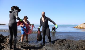 L'Algérie nettoie ses plages face à une algue brune invasive