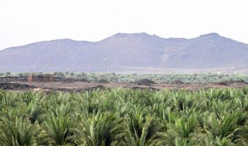 La durabilité à l’honneur à Médine pour la Journée mondiale des sols