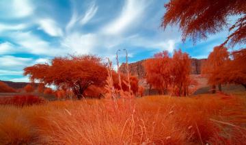AlUla: l’exposition « Arduna », fonde un socle de dialogue et de culture