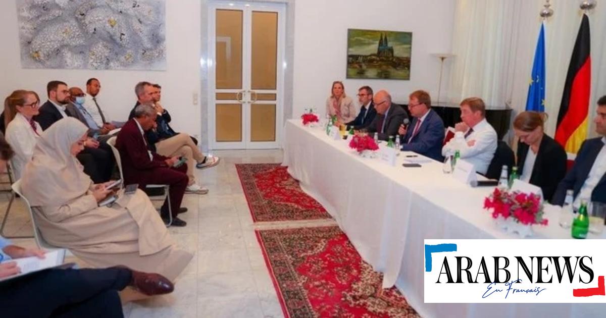 Der Besuch der deutschen Delegation in Riad fördere die bilaterale Zusammenarbeit, so der deutsche Botschafter