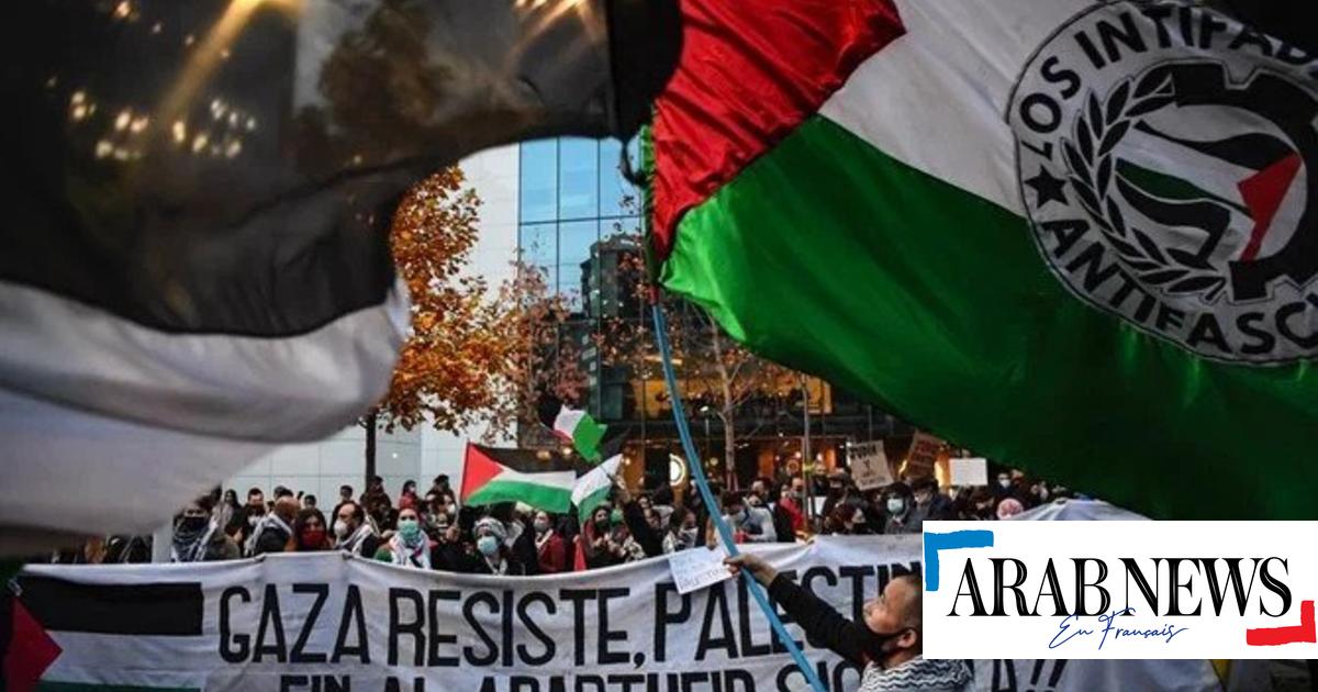 El regreso de la izquierda al poder impulsa el apoyo a la causa palestina en Sudamérica