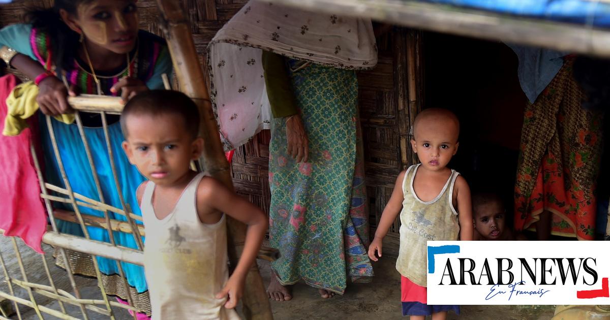 Die Vereinten Nationen fordern 876 Millionen Dollar für Rohingya-Hilfe