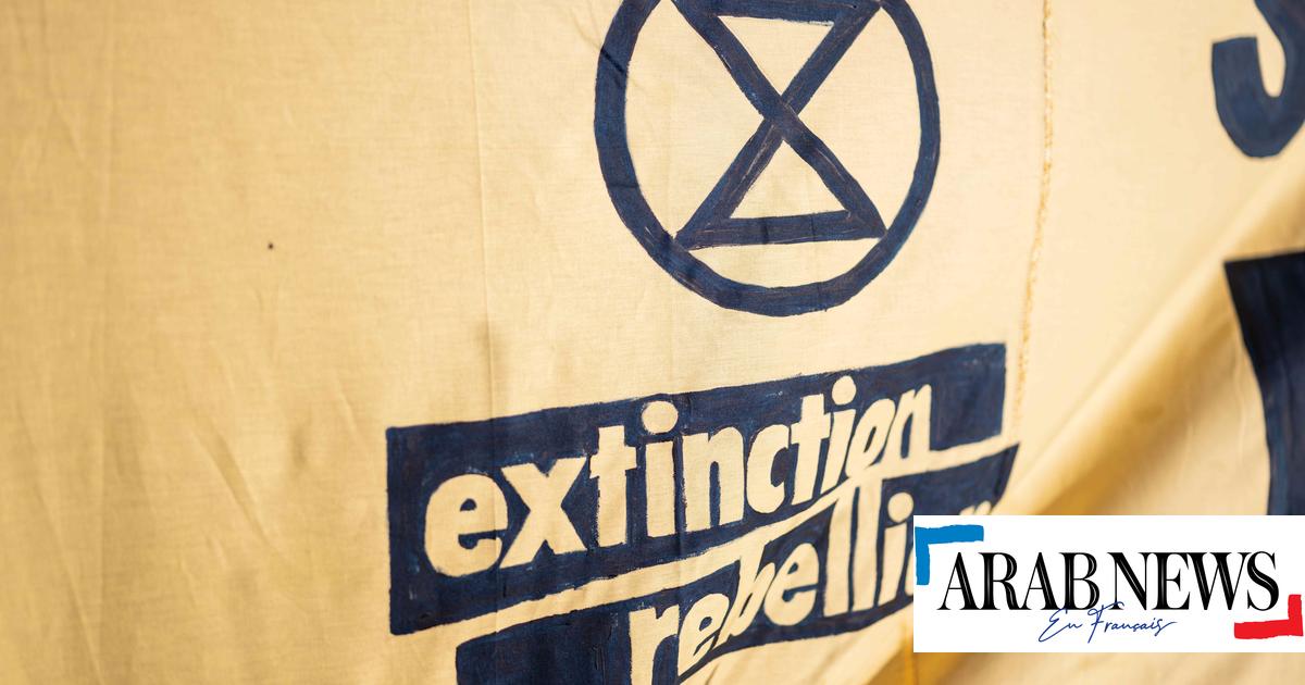 Nederland: Pro-klimaatactivisten gearresteerd na het betreden van het luchthavengebied