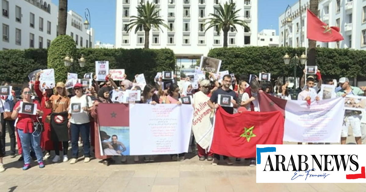 Marocco: i difensori degli animali vogliono vietare il “massacro” dei cani randagi