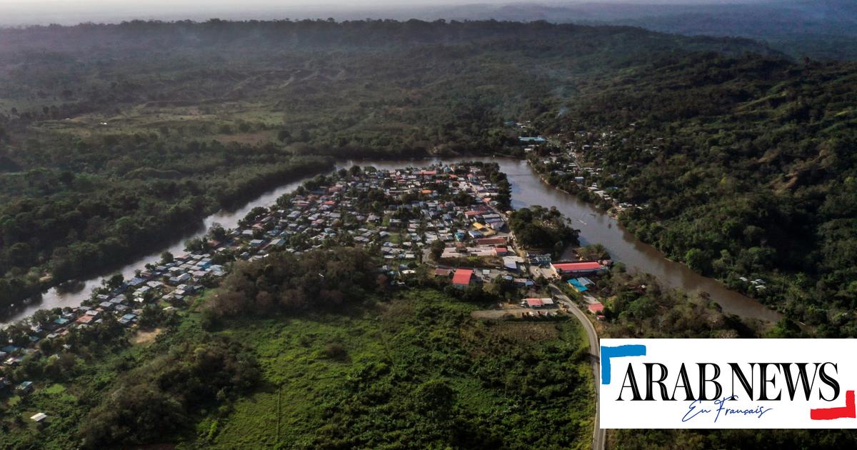 Panamá planea una migración récord a través del Bosque del Darién hacia EE.UU. a partir de julio