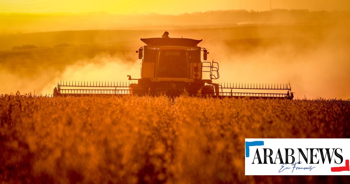 O acordo UE-Mercosul: esperanças e medos dos agricultores da Europa e América do Sul