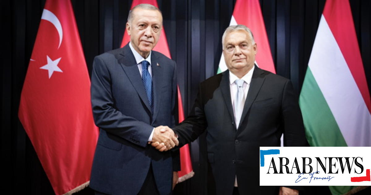 En Budapest, Orban recibe a Erdogan para hablar de energía y la OTAN