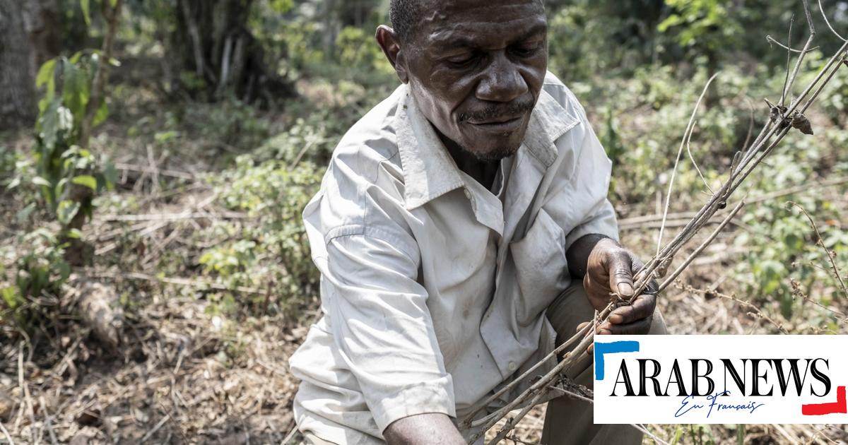 Investing in agricultural SMEs in Africa: A critical solution to fighting hunger