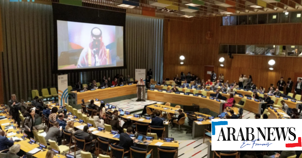 Saudi Arabia is calling for a reform of the global cooperation framework before the future summit