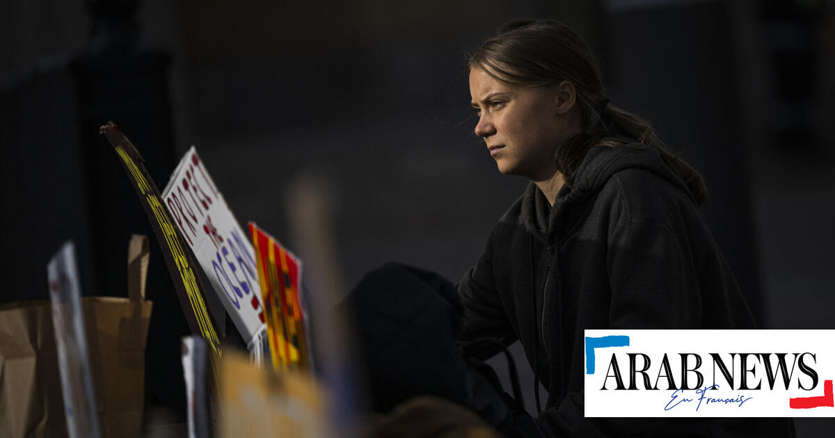 Suecia: Greta Thunberg vuelve a ser multada por bloquear el puerto de Malmö