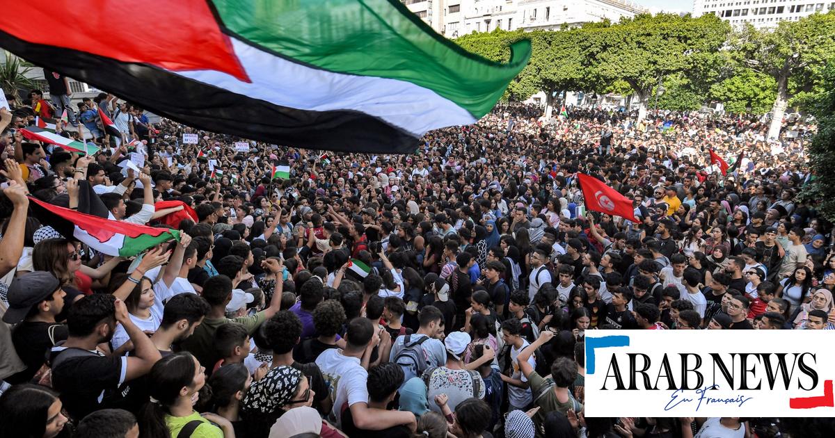Bombardeo de un hospital en Gaza: impresionante marcha en la avenida Habib Bourguiba en apoyo a Palestina