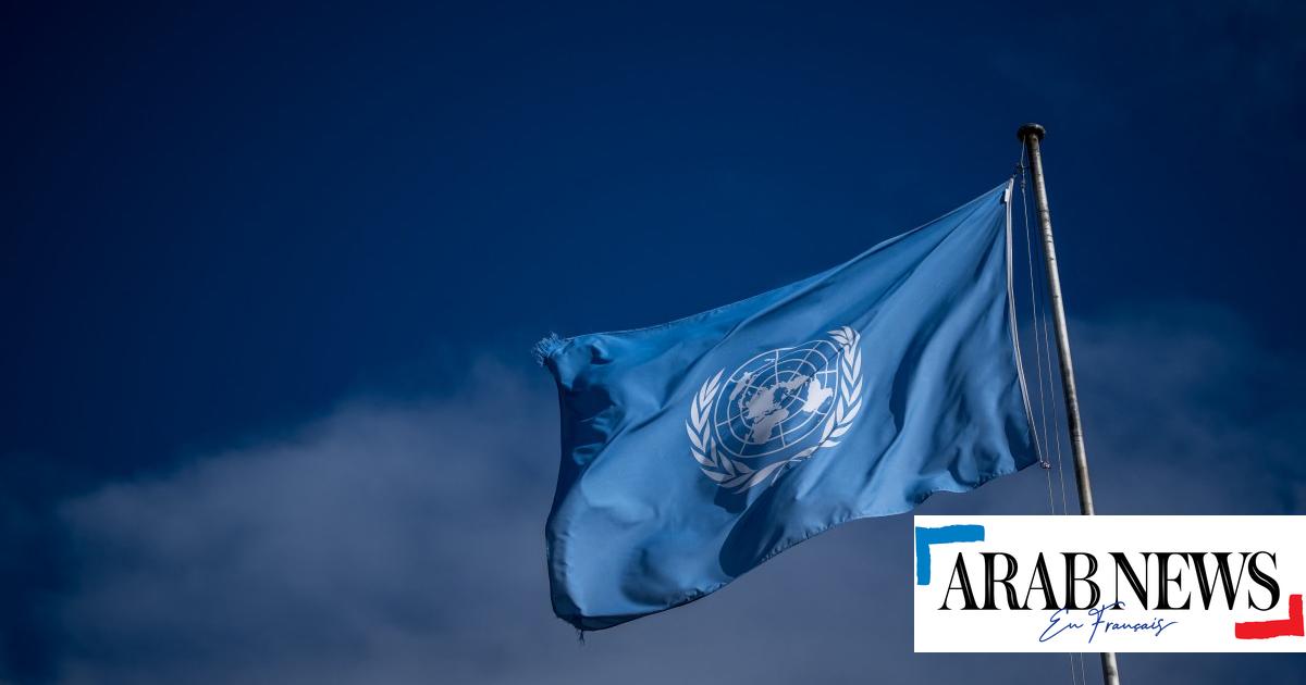 A pesar de sus éxitos, las Naciones Unidas enfrentan grandes desafíos