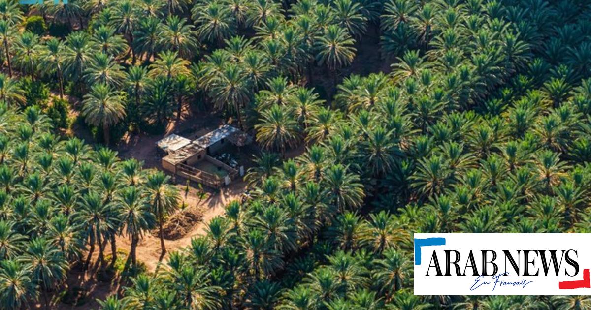 A French engineer designed the Al-Ula Cultural Institute