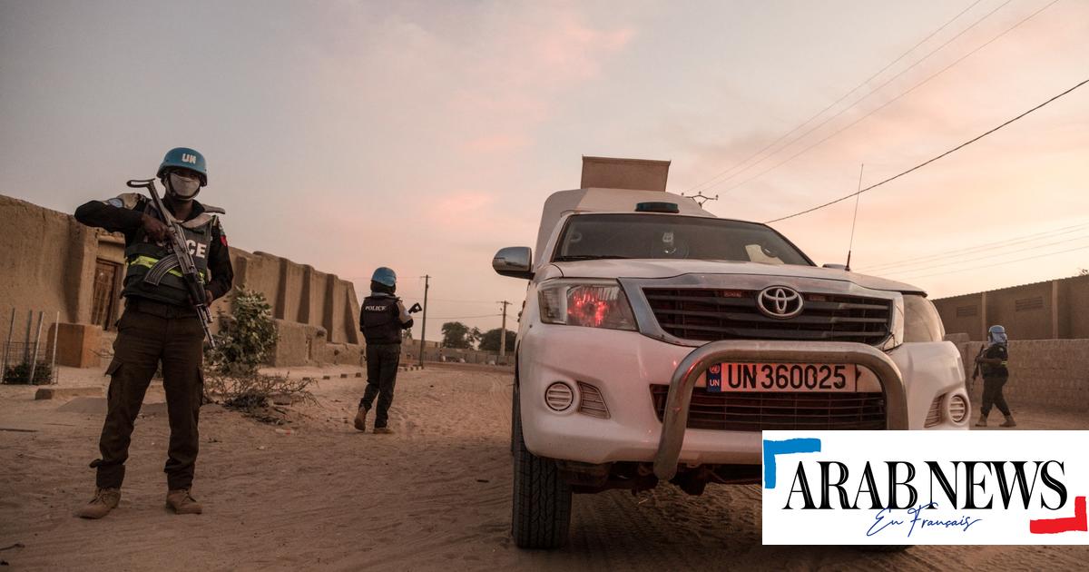 Mali: Air strikes kill several people in a strategic city, according to what the army accused