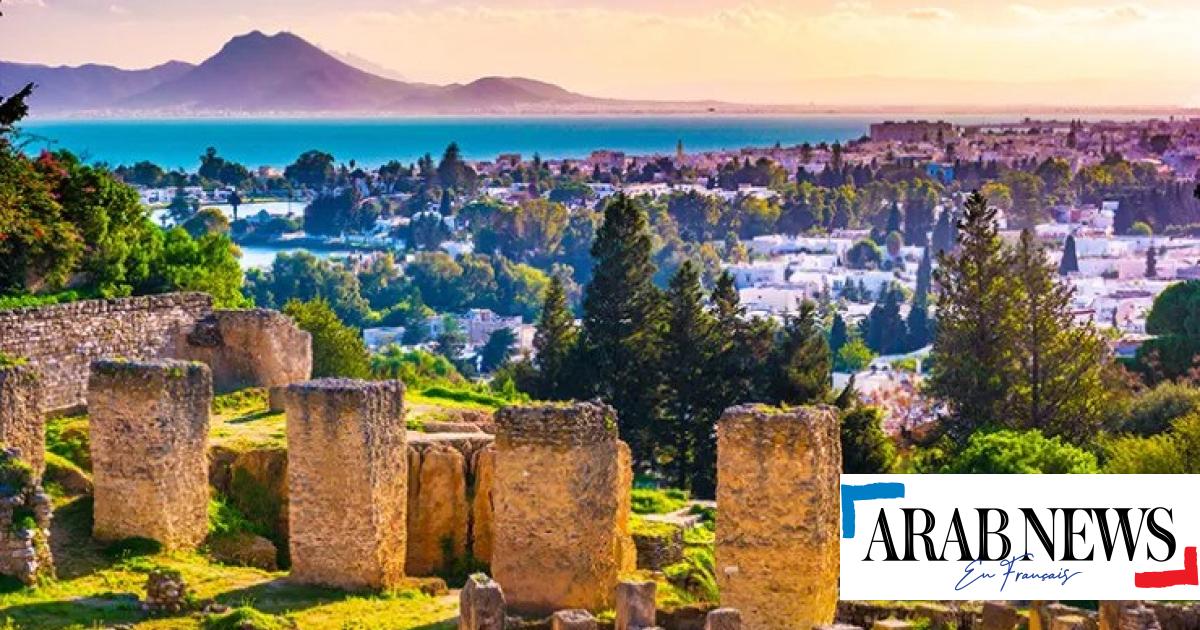 Fatti di Al-Birsa: una rete per sfuggire alla trappola della plastica?