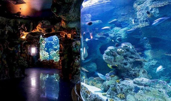 La salle de corail contient une zone de divertissement pour enfants. (Photo SPA)