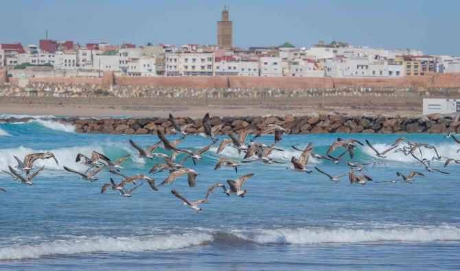 Maroc: Les plages labellisées "Pavillon Bleu" pour l'été 2020
