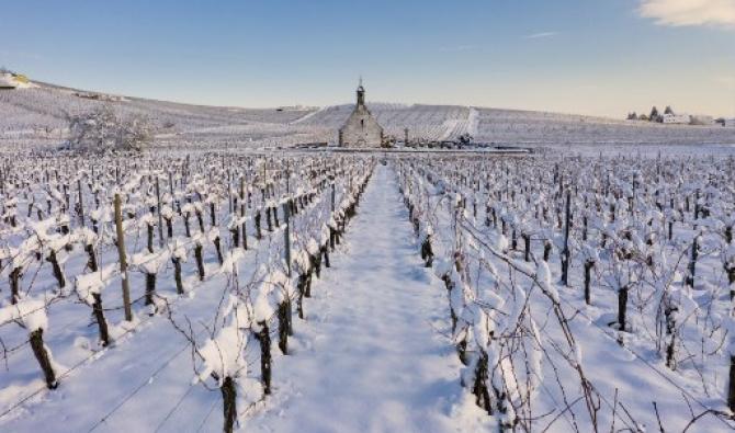 Cette vue aérienne montre la chapelle Saint-Denis et les vignobles le 15 janvier 2021 après de fortes chutes de neige dans l'est de la France (Photo, AFP)