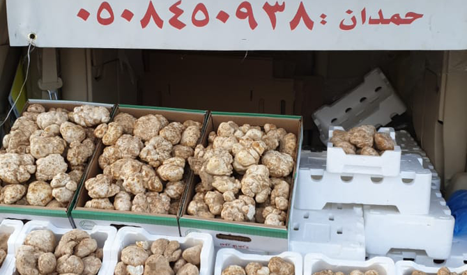 Des joyaux dans le sable: tout ce qu'il faut savoir sur la saison de la  truffe saoudienne