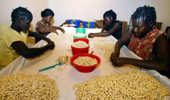 Des jeunes femmes trient des noix de cajou le 08 février 2002 à Quinhamel dans une petite entreprise de décortiquage de noix de cajou (Photo, AFP/ Archive)