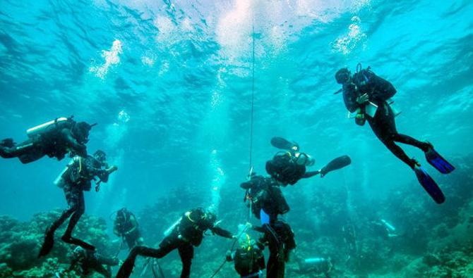 Avec ses températures constantes et son eau très claire, la mer Rouge est l'un des meilleurs sites de plongée au monde (Photo AN) 