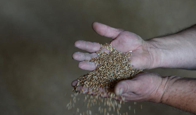 Ci-dessus, des grains de blé dans un entrepôt du village de Zhurivka en Ukraine. (Reuters)