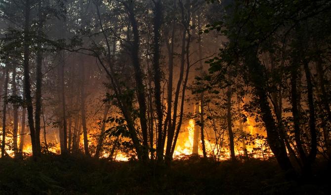 Un incendie brûle dans une forêt près de maisons à Clefs-Val-D'Anjou, près de La Flèche, dans l'ouest de la France, le 9 août 2022. (Photo, AFP)