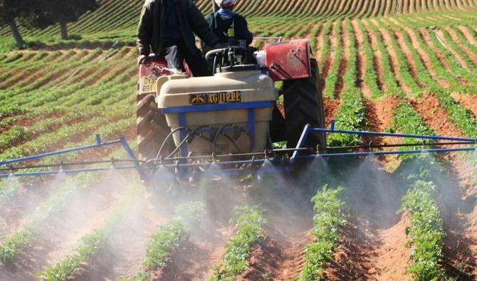 Pour relever le défi de l’augmentation de la production, Ali Daoudi, agroéconomiste, recommande d’adapter les productions céréalières aux différents bassins agricoles en Algérie en tenant compte des variations climatiques. (Photo fournie)
