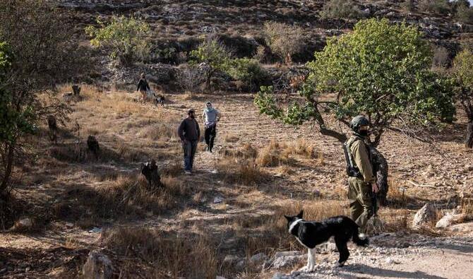 Des colons israéliens et un soldat israélien se tiennent dans un champ alors que des agriculteurs palestiniens sont empêchés de récolter des olives dans le village de Sa'ir, près de la ville d'Hébron en Cisjordanie occupée par Israël, le 23 octobre 2025. (AFP)