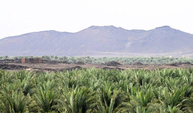La durabilité à l’honneur à Médine pour la Journée mondiale des sols