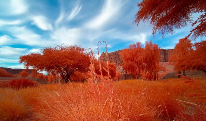 AlUla: l’exposition « Arduna », fonde un socle de dialogue et de culture