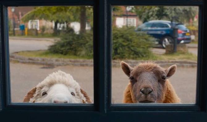 « The Sheep Detectives » : une enquête aussi tendre que captivante